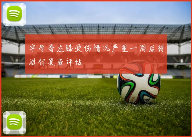 字母哥左膝受伤情况严重一周后将进行复查评估